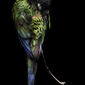 Loro
