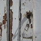the door in the sunlight 