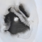oeuf_003