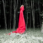 Red Surrealism 1