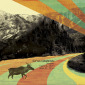 Animalia Canadiana; Cervus canadensis