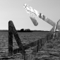 Ontopological Study #4