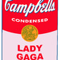 Lady Gaga Soup
