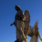 Wings VII