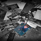 the lost boy