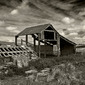 derelict shed