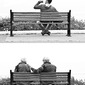 The Bench