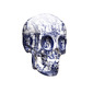 Delft Skull