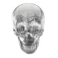 Crystal Skull