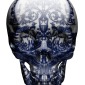 DELFT SKULL DESCENT  OF AN ANGEL
