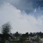 The Blues