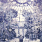 the glass house #7