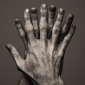 Hands - Damien 2822