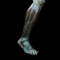 Bronze Leg