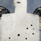 'Angel'