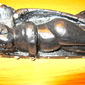 Sleeping Cupid