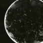 Cell