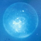 Petri Dish Cyanotype