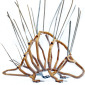 Mr. Porcupine
