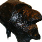 Head 01