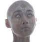 Transhuman