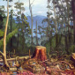 Clearing