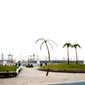 the palm beach