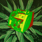 drugs