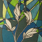 SPRING MAGNOLIA
