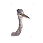 Portraits - Reiger