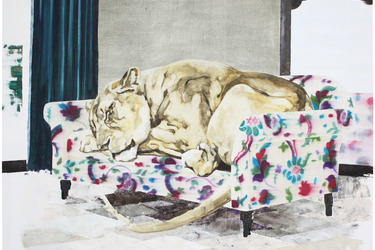 Collection The Great Escape; created by Abigail Box