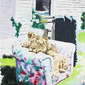 Abigail Box