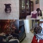 Staffy Bully - Kitchen Beg, English Sit, Christmas Drunk, Human Amused Collection