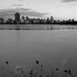 NYC: Metropolis - Central Park 