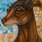 And the Hound Followed the Voiceless Dancer to the Moon (The Italian Greyhound) 