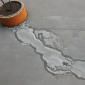 Leaking Plant