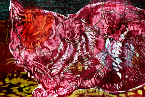Pat Knight