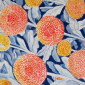 Chrysanthemum