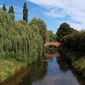 Summer peace on the Chesterfield Canal