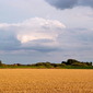 Late summer evening