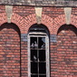 Pigeon window