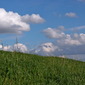 Grass and clouds