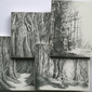 Into the Woods