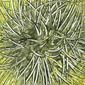 Lydia Darvas Magnetic Lines 28 40