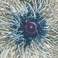 Lydia Darvas Magnetic Lines 34 55