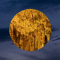 Little Planet #04