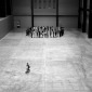 Skate at Tate