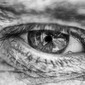 The Photographers Eye