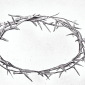DIVINE