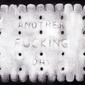 BISCUIT